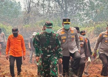Karhutla Kerumutan Jadi Perhatian, Pangdam XIX/Tuanku Tambusai Turun Langsung ke Lokasi