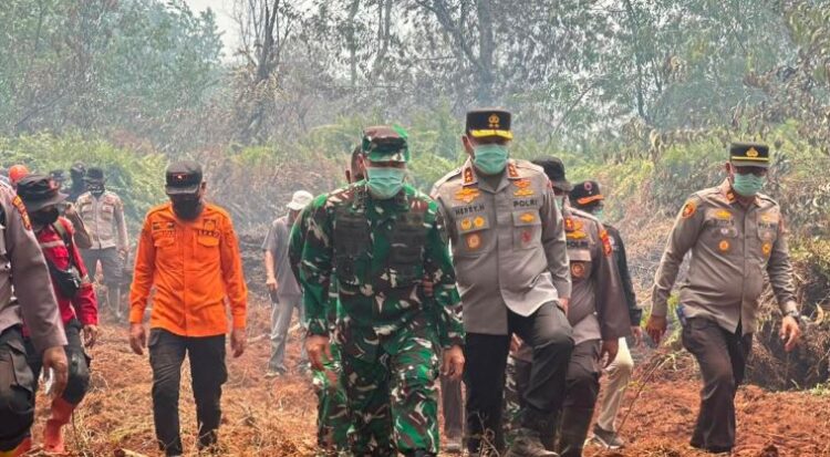 Karhutla Kerumutan Jadi Perhatian, Pangdam XIX/Tuanku Tambusai Turun Langsung ke Lokasi