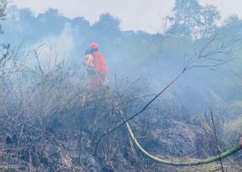 Kemenhut Sanksi 6 Perusahaan PBPH Terkait Karhutla 1.511 Hektare di Kalimantan
