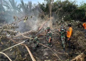 Karhutla Bengkalis Ditangani Tim Gabungan Kodam XIX
