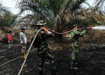 Karhutla di Lubuk Kembang Bunga, Kodam XIX Tuanku Tambusai Padamkan 2 Hektare Lahan