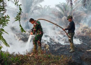 Kodam XIX/Tuanku Tambusai Bergerak di Minas, Patroli dan Pemadaman Karhutla Berjalan Serentak