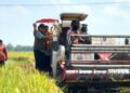 Bulog Sumut Optimistis Capai 100% Target Penyerapan GKP 2026 pada November 2026