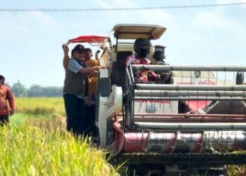 Bulog Sumut Optimistis Capai 100% Target Penyerapan GKP 2026 pada November 2026