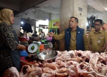 TPID Sumut Intervensi Pasar, Harga Cabai Merah dan Daging Ayam di Medan Turun Drastis